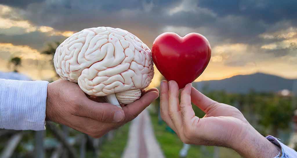 Çalışanların Duygusal Zekasını Geliştirme